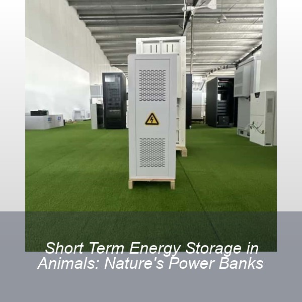Short Term Energy Storage in Animals: Nature's Power Banks